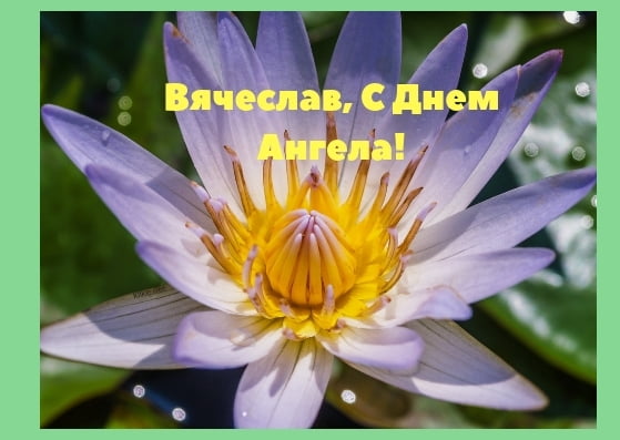 Открытки с именем Вячеслав скачать бесплатно. Открытки с днём рождения Слава. 