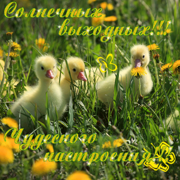 Красивые открытки замечательных выходных. Открытки хороших выходных скачать б...