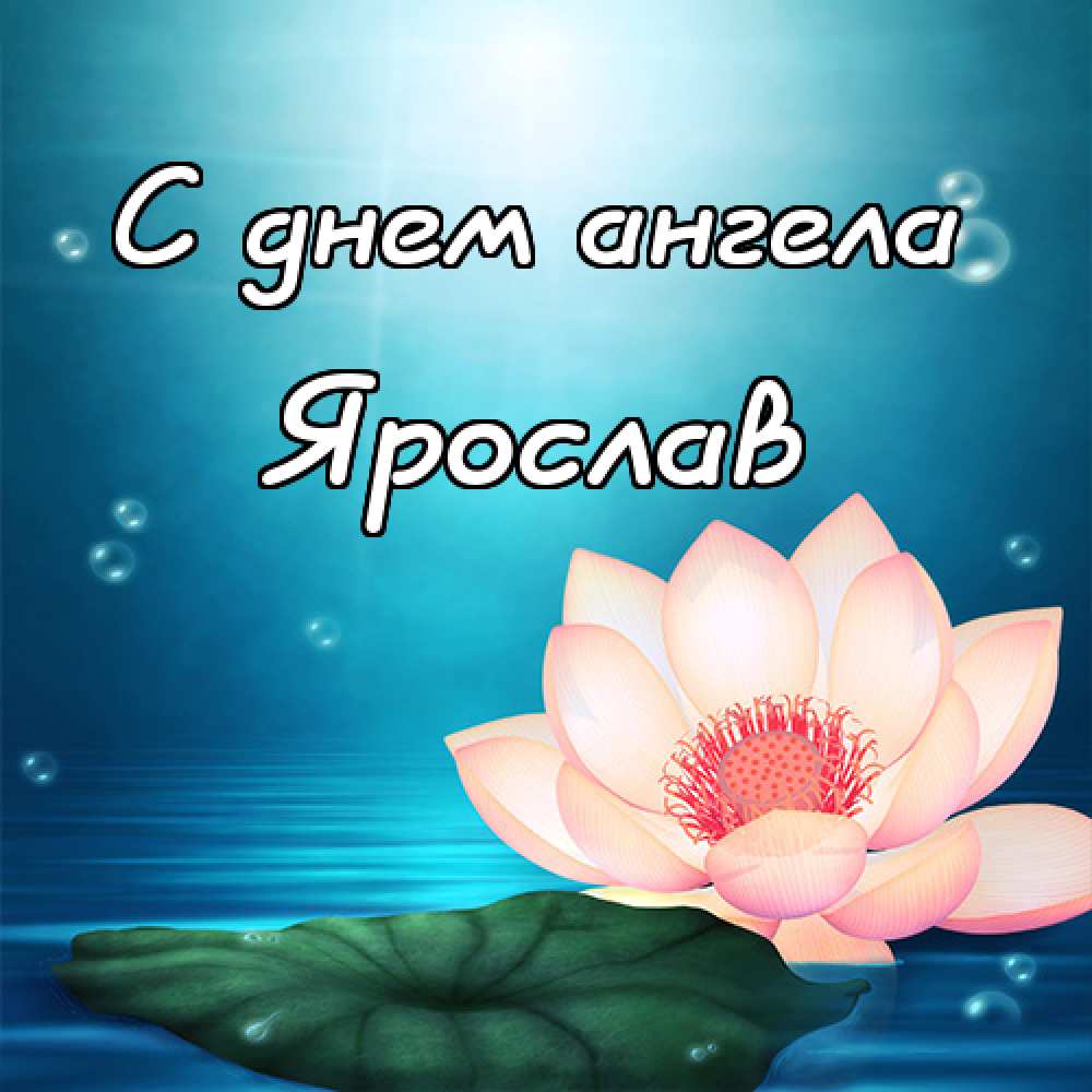 Открытки С днём рождения Ярослав открытки. Открытки с именем Ярик. Поздравительные открытки с мужскими именами. Открытки с днем рождения Ярослав. Открытки с именем Ярослав скачать бесплатно. Именные открытки. Открытки с именами гиф. Поздравительные открытки с именем Ярик.