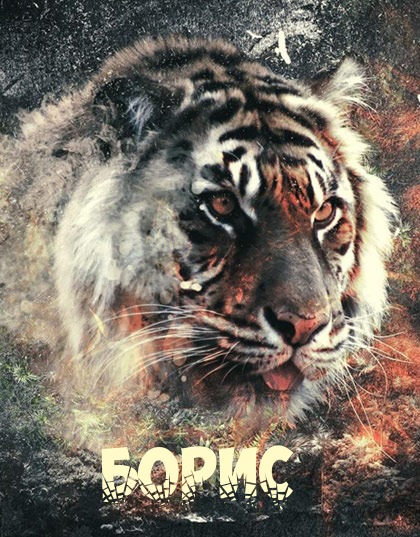 Открытки с днём рождения Борис. Красивые открытки с мужскими именами.