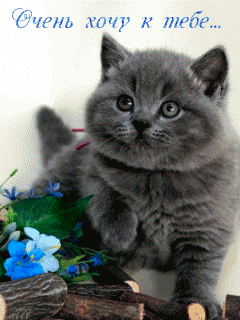 Красивые открытки замечательных выходных. Открытки хороших выходных скачать б...