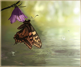 Мерцающие открытки с бабочками. Открытки с красивыми бабочками скачать беспла...