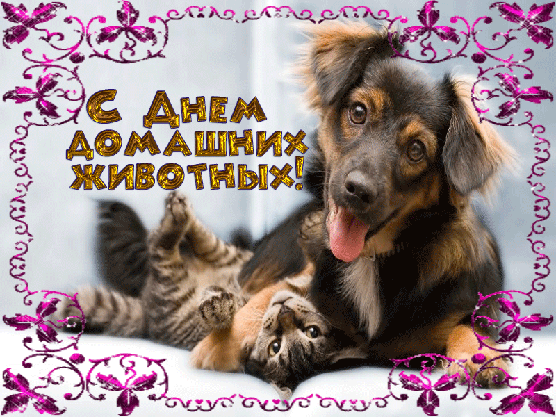 Добрые открытки на Всемирный день домашних животных скачать бесплатно.