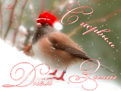 Мерцающие анимационные открытки с пожеланиями на первый день зимы