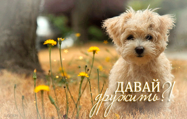 Красивые анимационные открытки давай дружить скачать бесплатно.