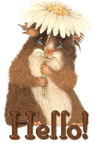 Красивые анимационные открытки с различными приветствиями скачать бесплатно.