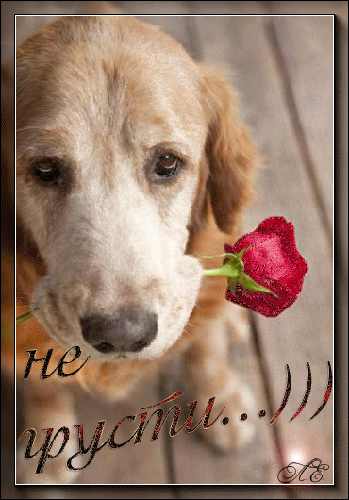 Мерцающие открытки с пожеланиями не грустить. Открытки не грусти скачать бесп...