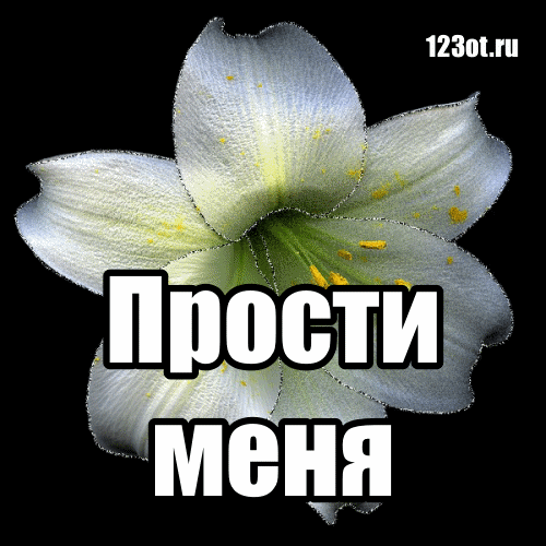Красивые открытки с извинениями скачать бесплатно. Открытки прости меня gif.