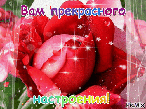 Позитивные открытки с пожеланиями хорошего настроения скачать бесплатно.