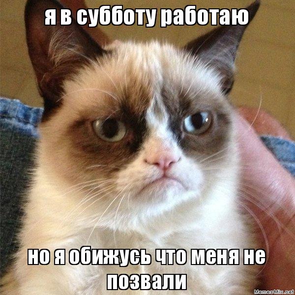 Интересные открытки на субботу. Веселые открытки на выходные.