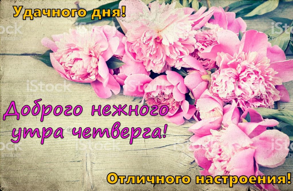 Открытки отличного четверга скачать бесплатно. Прикольные открытки на четверг...