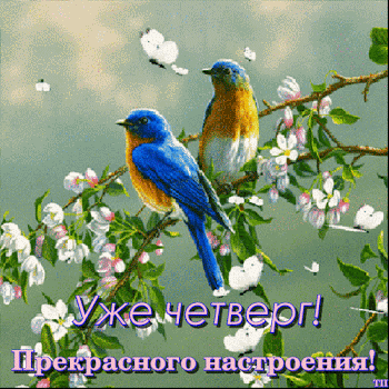 Анимационные открытки доброго утра и отличного четверга скачать бесплатно.