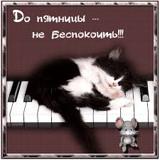 Прикольные открытки на пятницу. Открытки с пожеланиями на пятницу скачать бес...