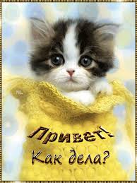 Красивые анимационные открытки с различными приветствиями скачать бесплатно.