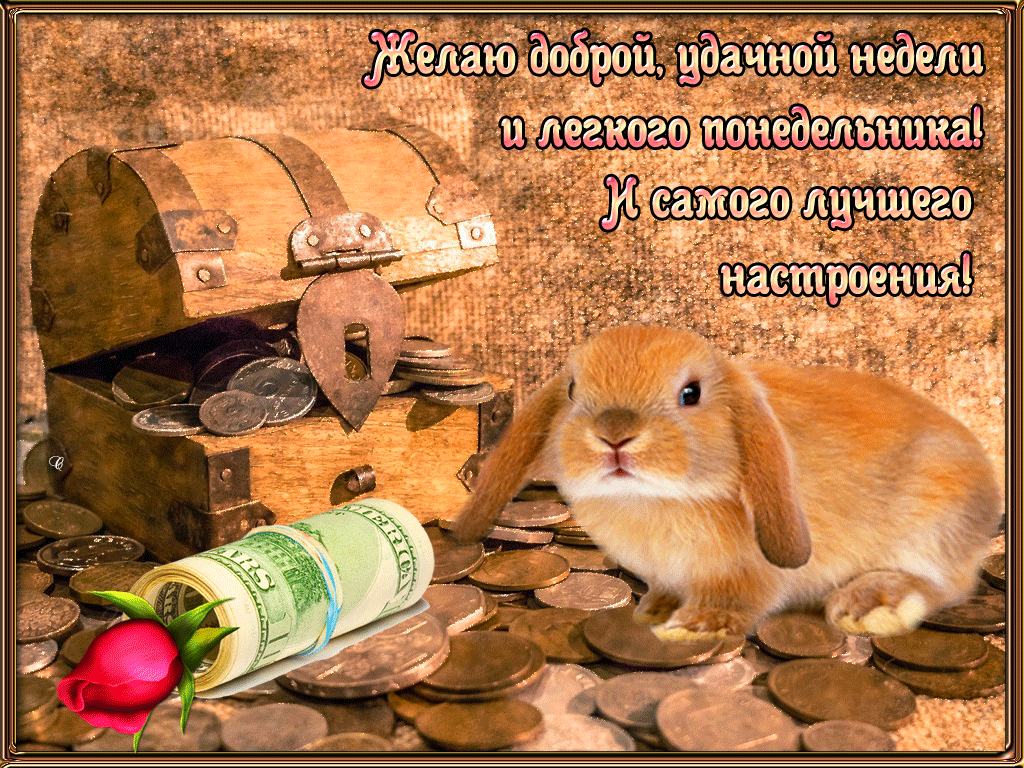 Забавные открытки с пожеланиями удачной недели. Открытки удачной недели скача...