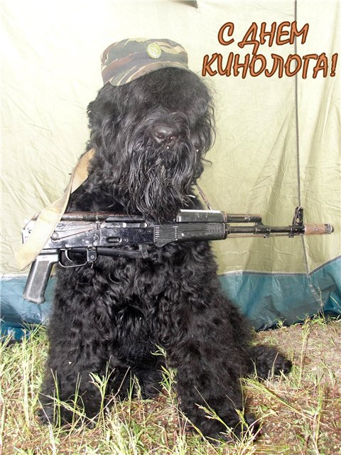 Открытки с пожеланиями на день кинолога скачать бесплатно.    