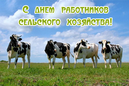 Открытки на день работников сельского хозяйства и перерабатывающей промышленн...
