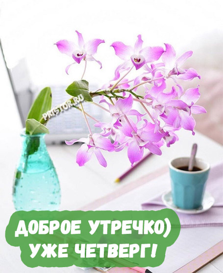 Открытки отличного четверга скачать бесплатно. Прикольные открытки на четверг...