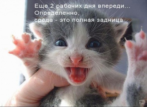 Открытки с пожеланиями отличной среды. Красивые открытки на среду.