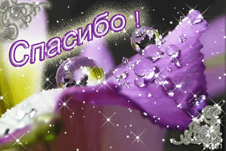 Анимационные открытки с благодарностью. Открытки спасибо скачать бесплатно.