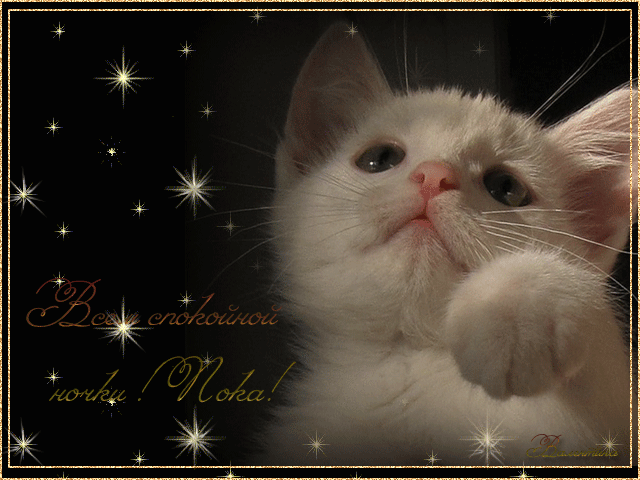 Бесплатные открытки с прощаниями. Открытки до скорой встречи скачать бесплатно.