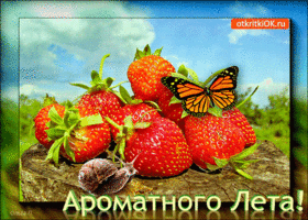 Скачать бесплатно открытки хорошего лета. Открытки с пожеланиями хорошего лета.