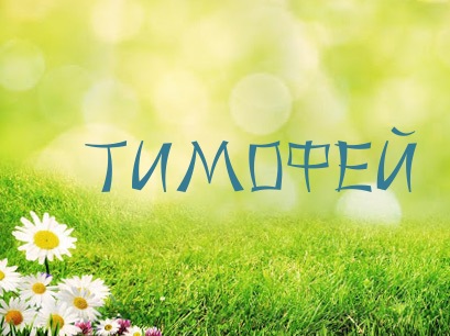 Анимационные открытки с именем Тимофей. Открытки с мужскими именами с поздрав...