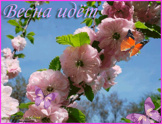 Красивые мерцающие открытки на весеннюю тематику. Скачать бесплатно открытки с весной.