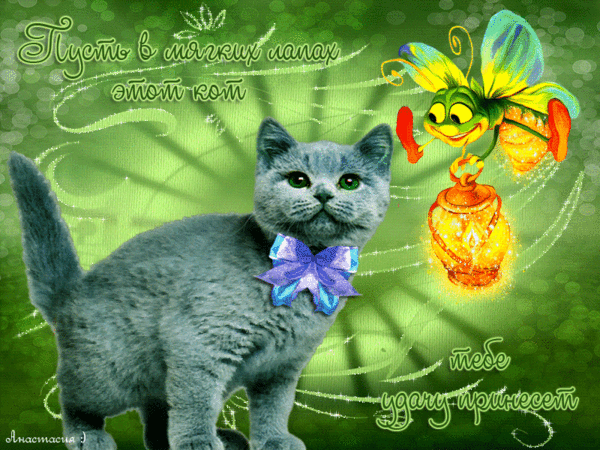 Открытки желаю удачи скачать бесплатно. Красивые открытки с пожеланиями удачи.