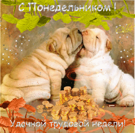 Забавные открытки с пожеланиями удачной недели. Открытки удачной недели скача...