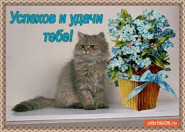 Открытки желаю удачи скачать бесплатно. Красивые открытки с пожеланиями удачи.