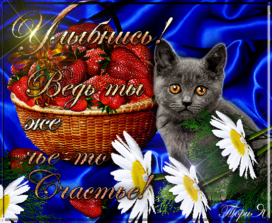 Весёлые открытки с пожеланиями улыбнись. Открытки с улыбкой скачать бесплатно.