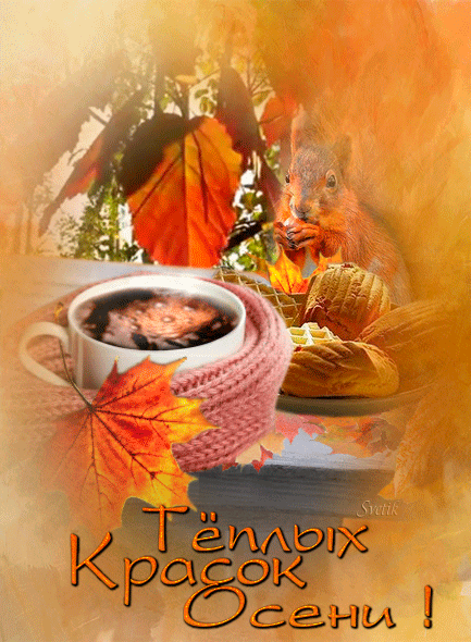 Оригинальные открытки с изображением осени. Открытки осень скачать бесплатно.