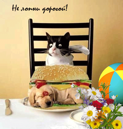 Открытки с пожеланиями приятного аппетита скачать бесплатно.