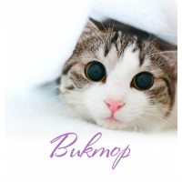 Скачать открытки с именем Витя. Открытки с днём рождения Виктору.