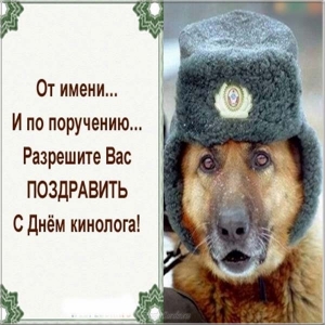 Открытки с пожеланиями на день кинолога скачать бесплатно.    