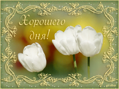 Открытки с пожеланиями хорошего дня. Скачать бесплатно открытки удачного дня.