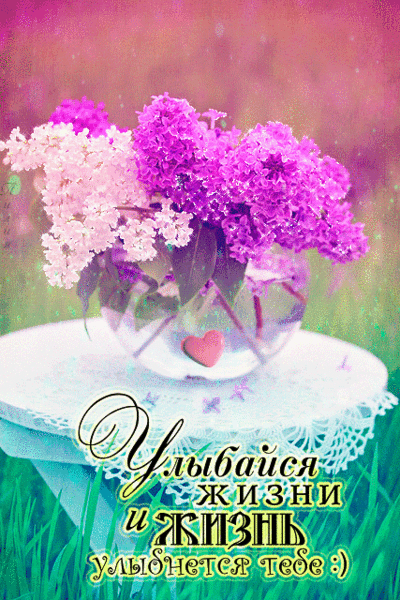 Весёлые открытки с пожеланиями улыбнись. Открытки с улыбкой скачать бесплатно.