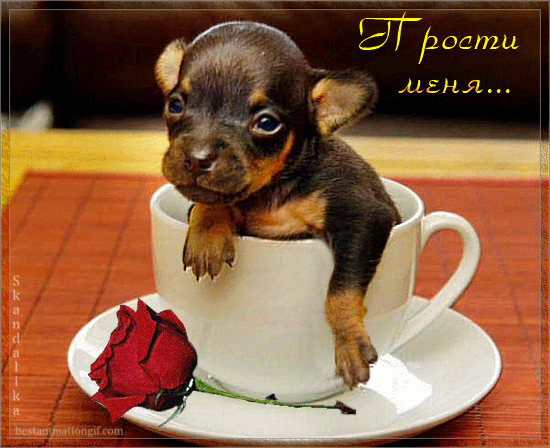 Красивые открытки с извинениями скачать бесплатно. Открытки прости меня gif.