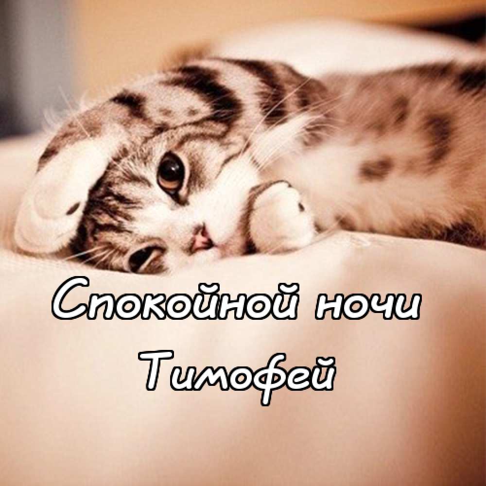 Анимационные открытки с именем Тимофей. Открытки с мужскими именами с поздрав...