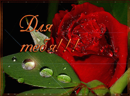 Красивые открытки для тебя скачать бесплатно. Анимационные открытки тебе gif