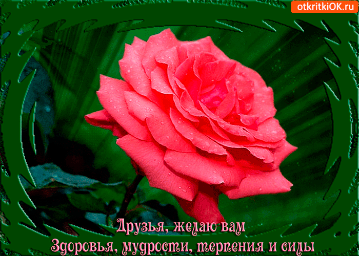 Открытки с пожеланиями крепкого здоровья скачать бесплатно. 