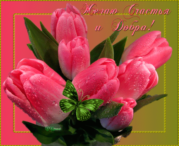 Скачать бесплатно открытки с пожеланиями счастья. Мерцающие открытки желаю сч...