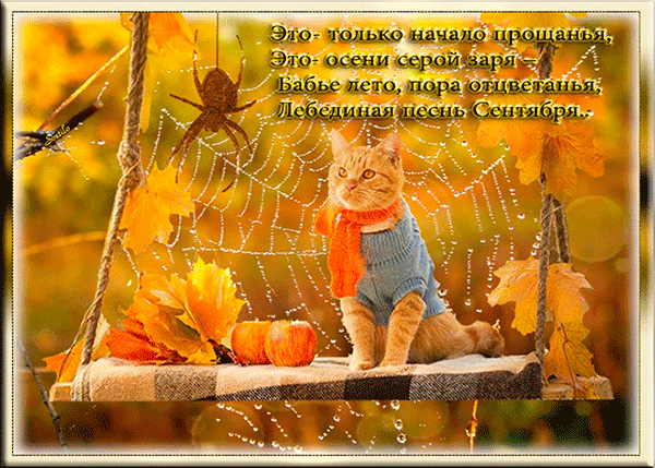 Поздравительные открытки с Бабьим Летом. Анимационные открытки на Бабье Лето. 