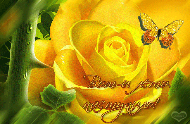 Открытки на тему осени скачать бесплатно. Анимационные открытки про лето.