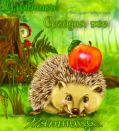 Прикольные открытки на пятницу. Открытки с пожеланиями на пятницу скачать бес...