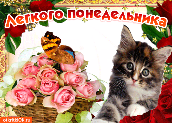 Открытки с пожеланиями легкого понедельника скачать бесплатно.
