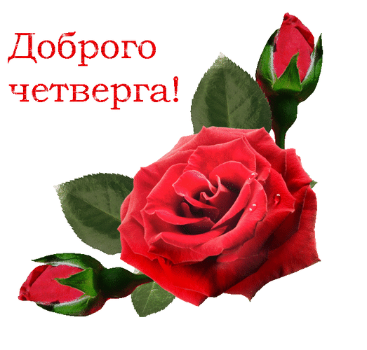 Анимационные открытки доброго утра и отличного четверга скачать бесплатно.