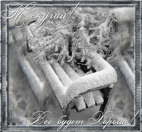 Веселые открытки с приколами не скучай скачать бесплатно.    