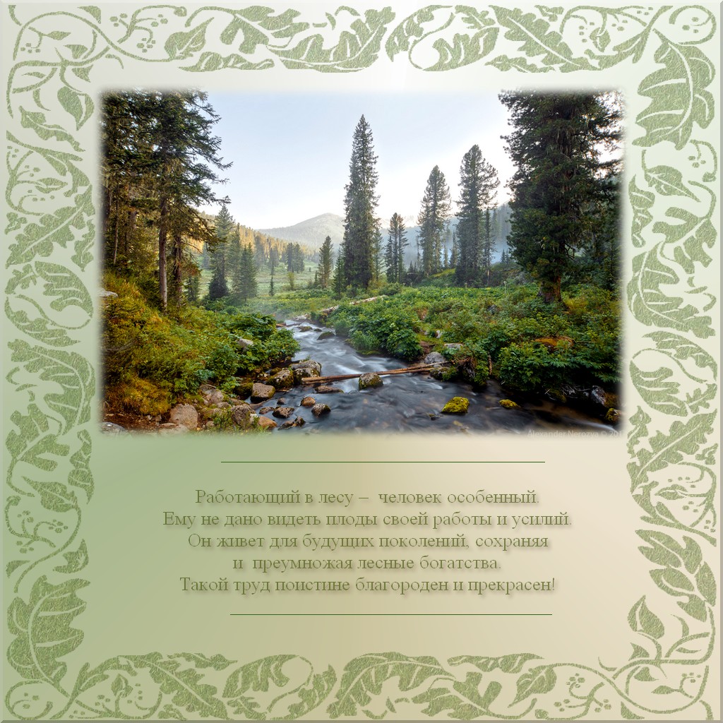 Открытки с днём работника леса с поздравлениями. Красивые открытки на день ле...